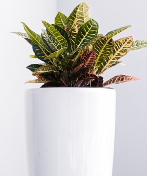 White Nested Plastic Self Watering Round Planter