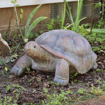 The Tortoise Garden Statue